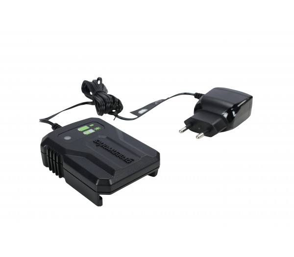 Зарядное устройство GREENWORKS G24UC2, 24 В